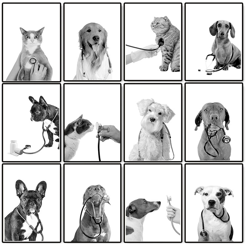 Stethoscope - Poster Dokter Hewan, Lukisan Kanvas Anjing