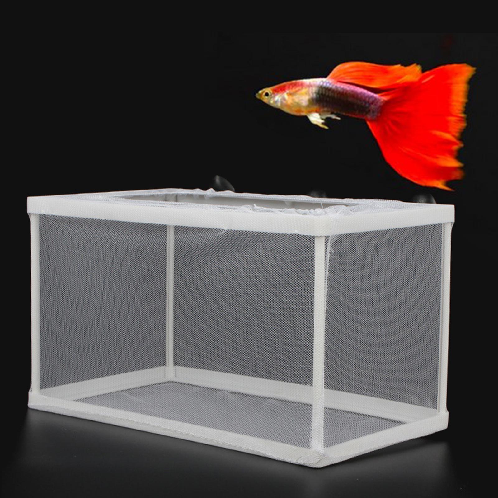 Kotak pemisah peternak ikan in - Lab Incubator ulasan dan harga