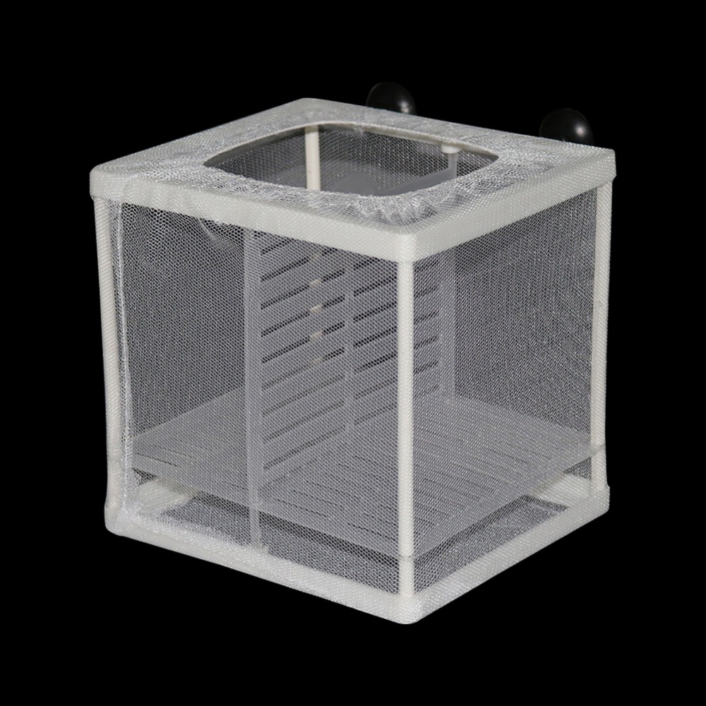 1 Pcs Pembibitan Ikan Incubato - Lab Incubator ulasan dan harga
