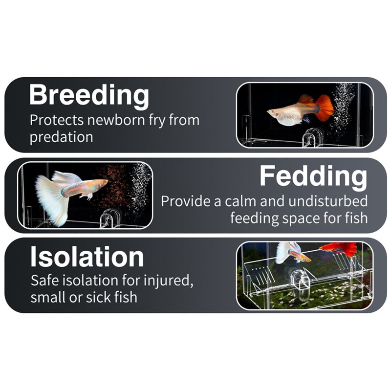 A25F-Kotak Pembiakan Ikan Bayi - Lab Incubator ulasan dan harga