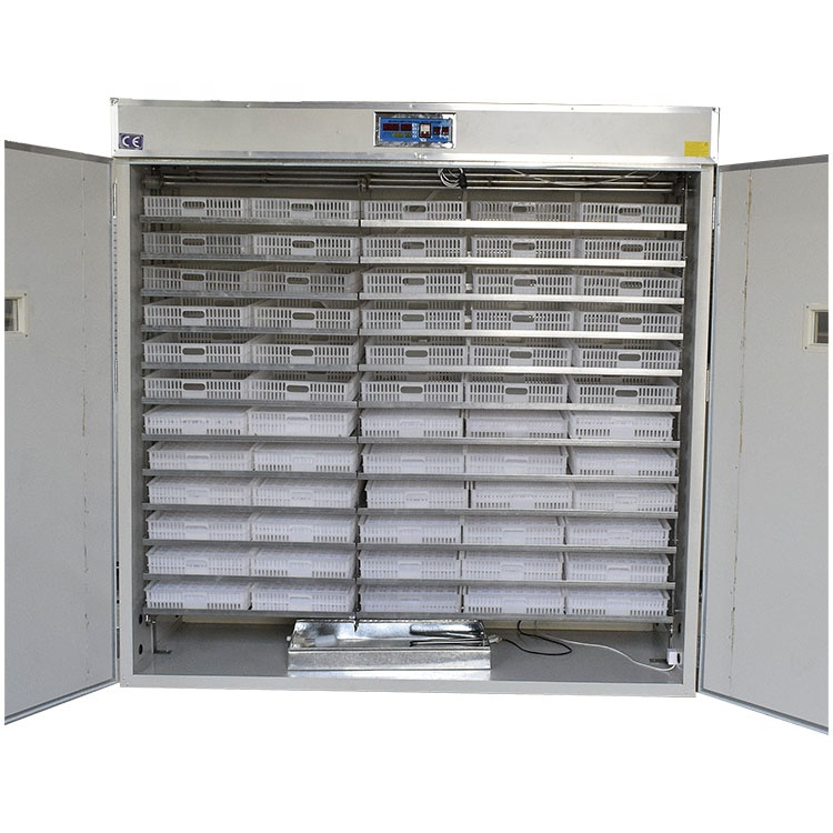 Mesin penetasan telur 5000 but - Lab Incubator ulasan dan harga